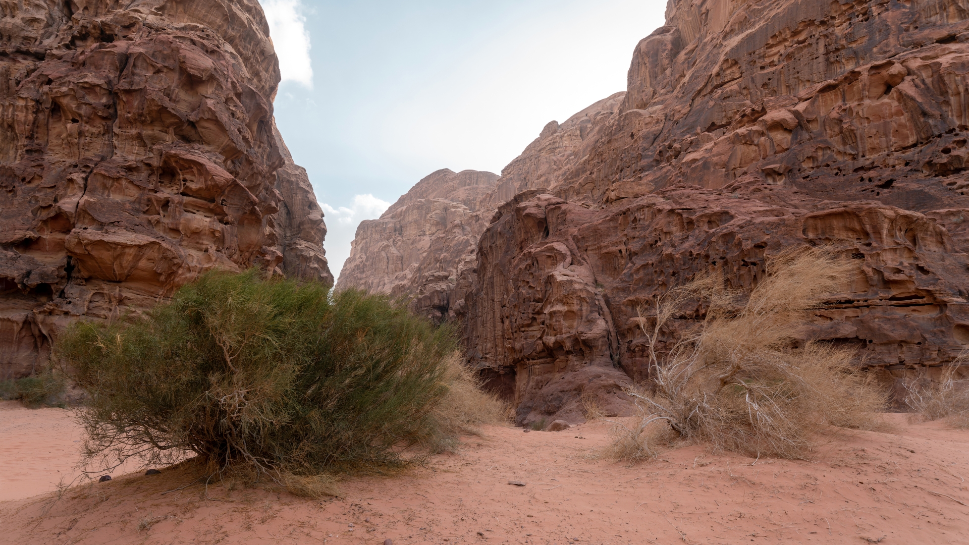 Burrah Canyon, Wüste in Jordanien – Foto: © Roland Rodenberg