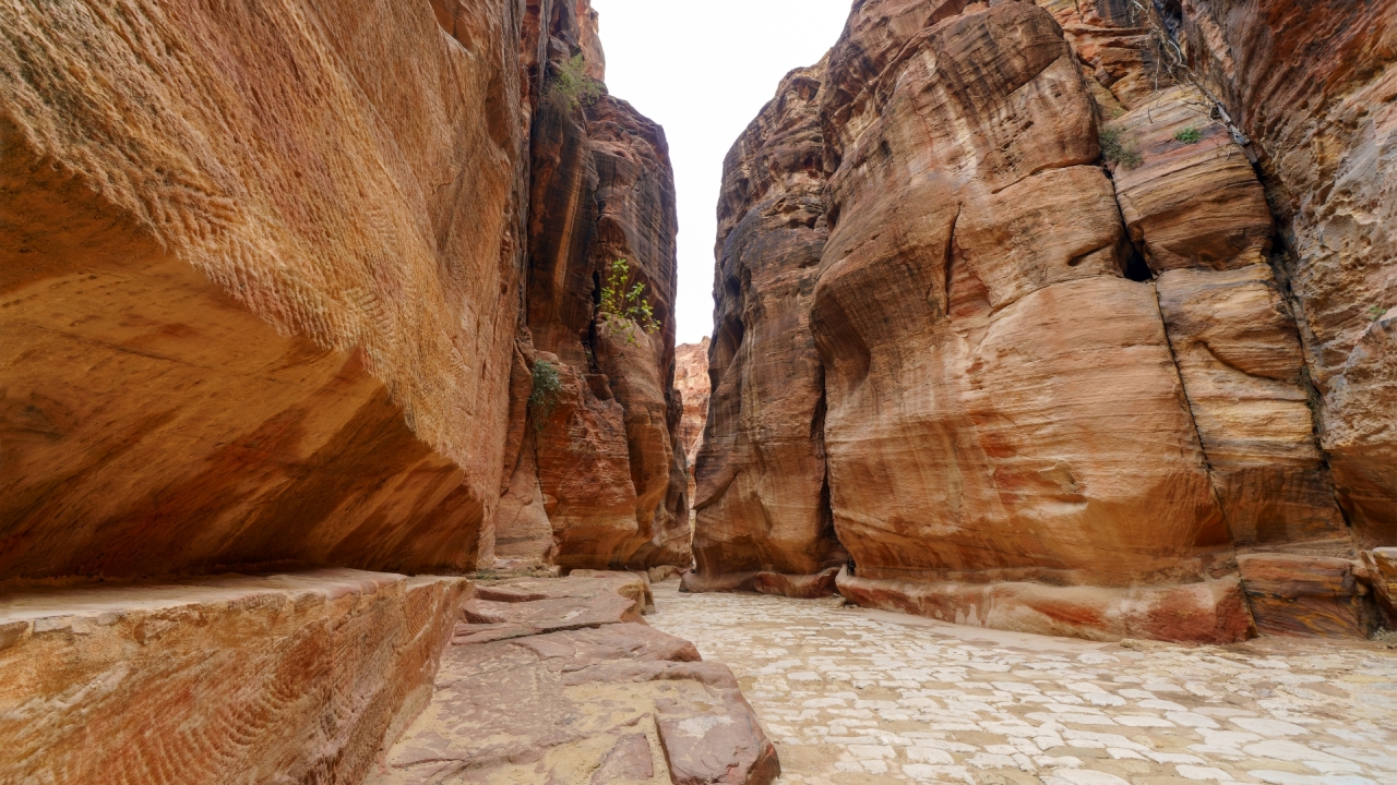 Al Siq-Schlucht – Petra, Jordanien – Foto: © Roland Rodenberg