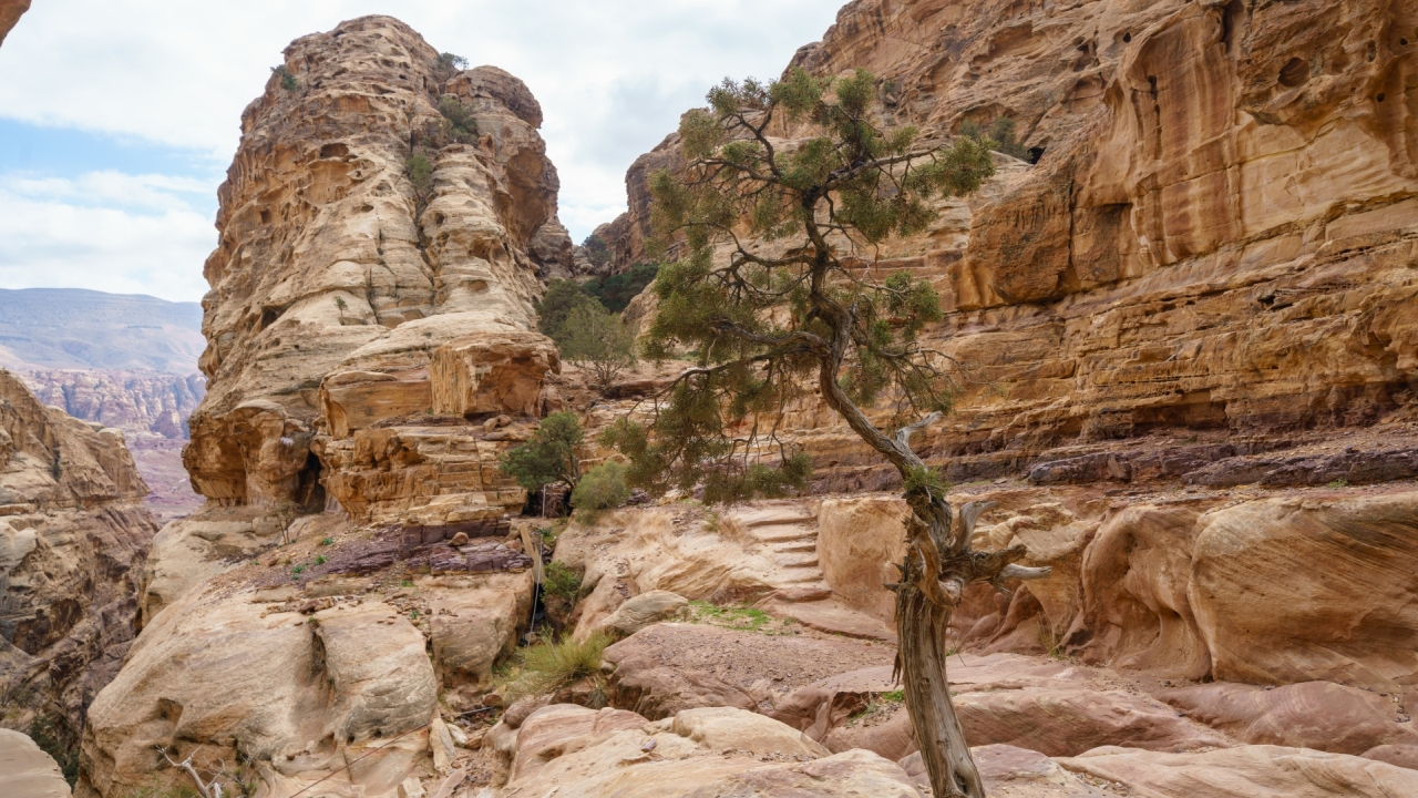 Petra, Jordanien – Foto: © Roland Rodenberg