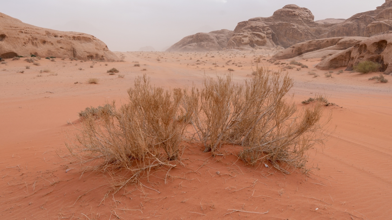 Wadi Rum, Wste in Jordanien – Foto: © Roland Rodenberg